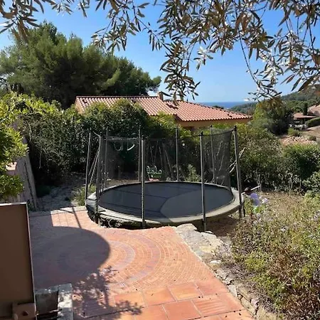 Piscine Vue Sur Ollioules