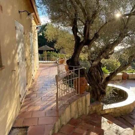 Villa Piscine Vue Sur